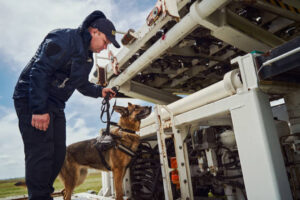 Male security worker with German Shepherd dog searching for explosives and other illegal items at aerodrome