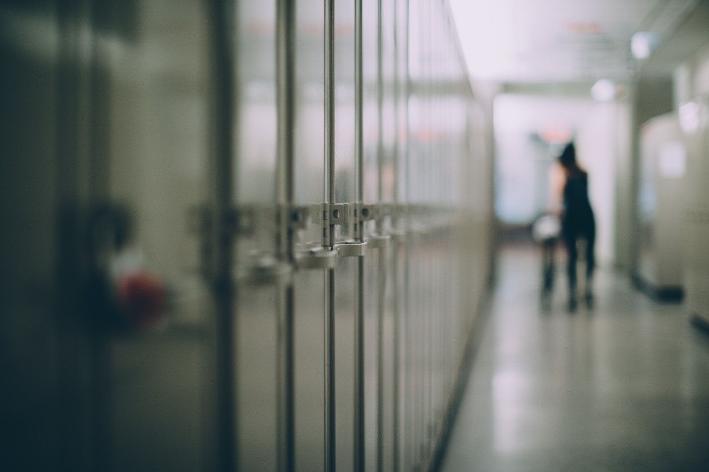 Navigating School Safety Plans in Alabama | A Comprehensive Overview