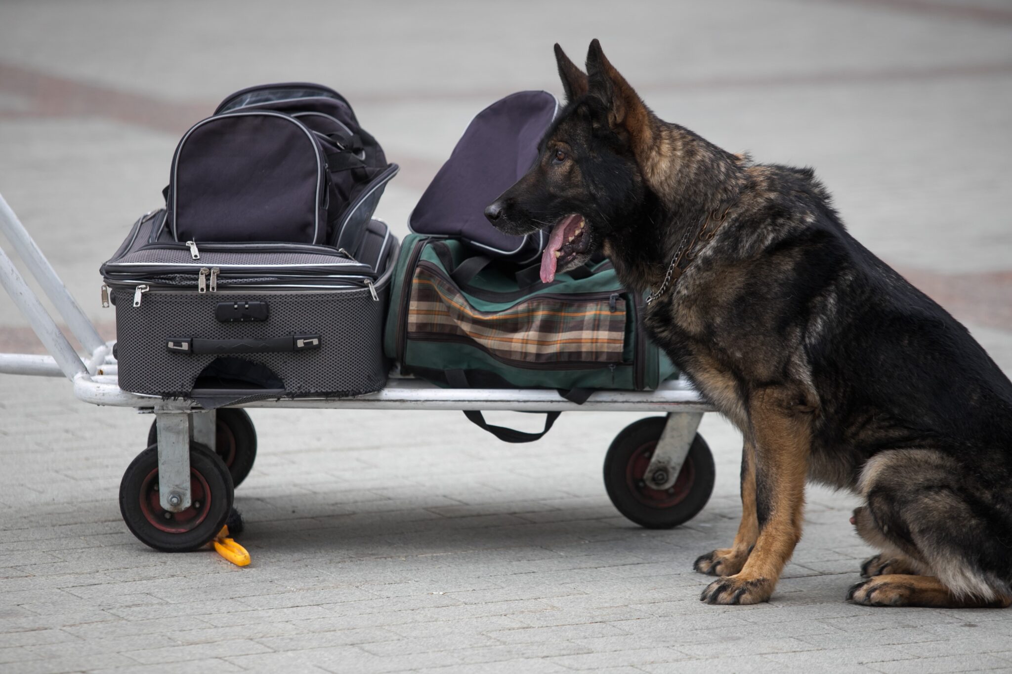 Securing Your Freight: Shergroup USA’s Armed and Unarmed Security Details Nationwide