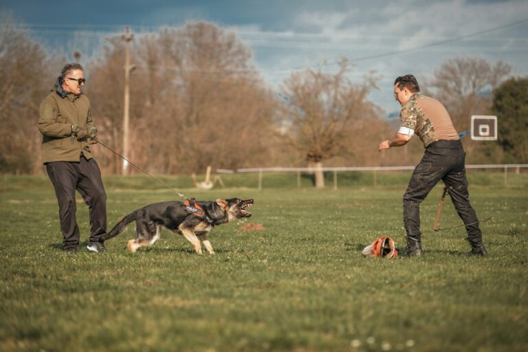 Enhancing Security with Combined K9 and Security Officer Training in Alabama