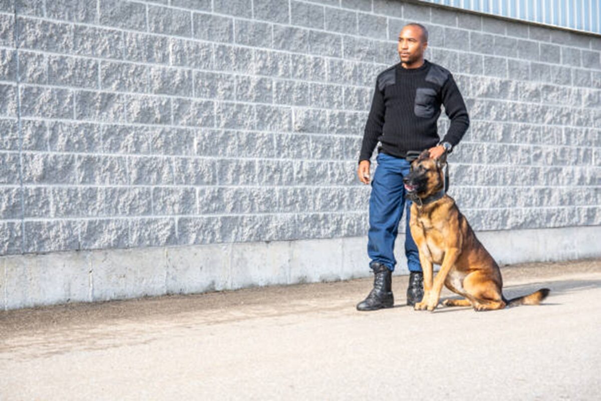 K9 Teams in Event Security