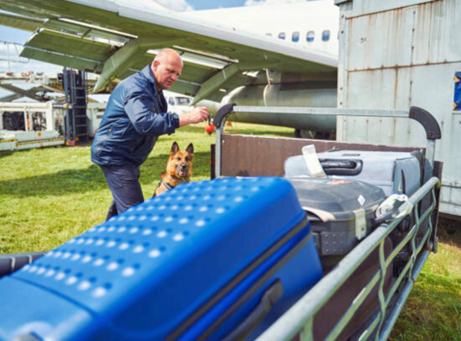 Ensuring Cargo Security | How Shergroup USA’s K9 Screening Services Meet Regulatory Standards