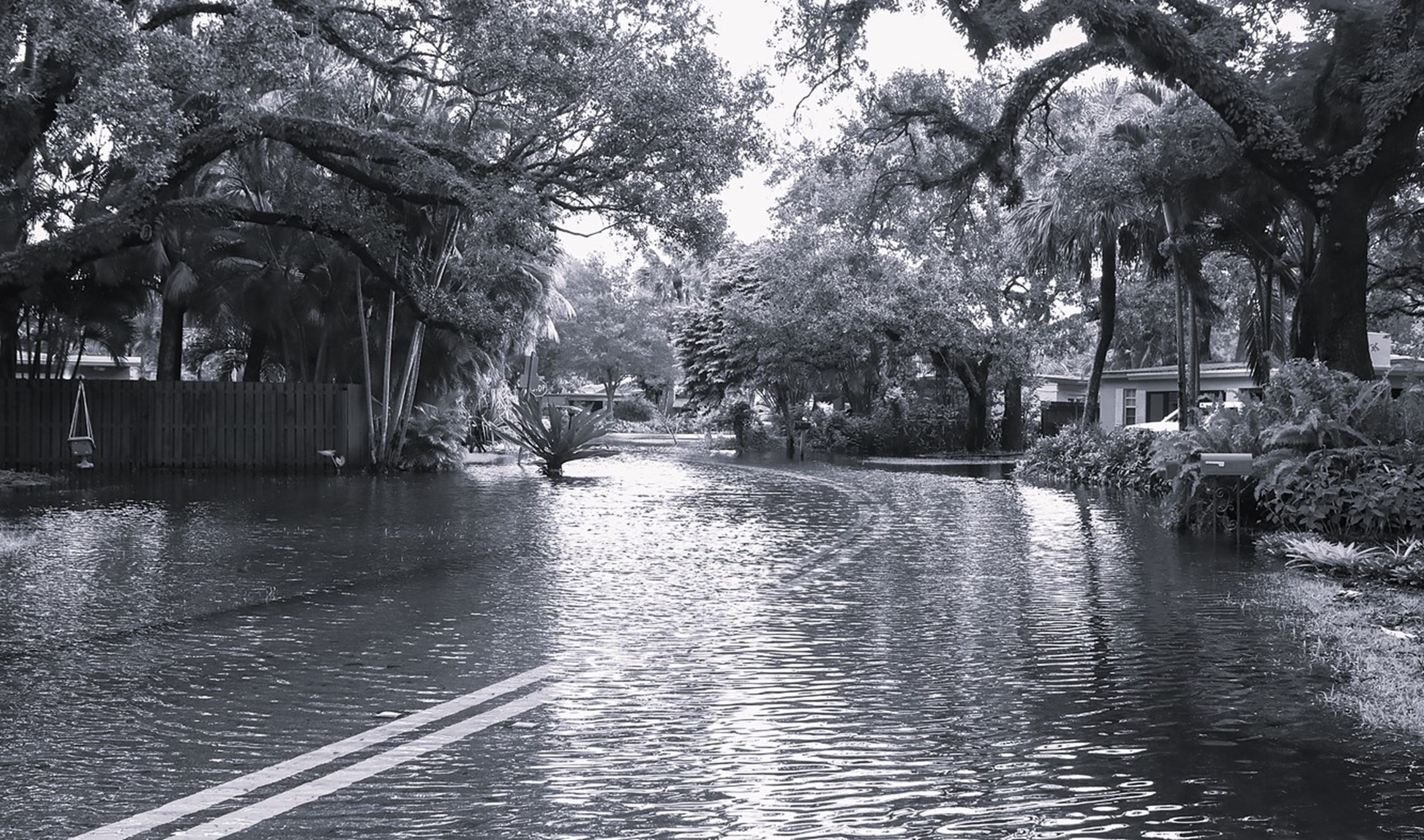 Hurricane Season Security Checklist