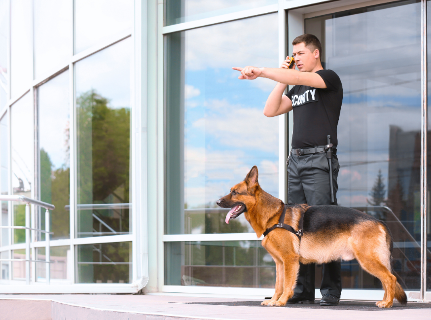 Professional Security Services
